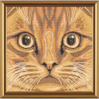 Рисунок на ткани для вышивания бисером "Рыжий кот"