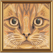 Рисунок на ткани для вышивания бисером "Рыжий кот"