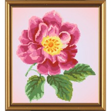Рисунок на ткани для вышивания бисером "Цветок шиповника"