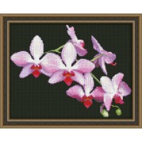Набор для вышивания крестиком "Ветка орхидеи"